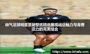 心观点用一